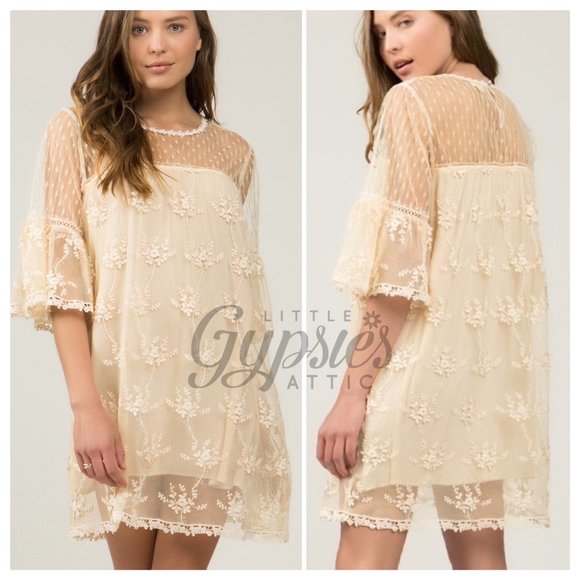 POL Honey Gold Dotted Lace Shift Dress - Picture 5 of 11